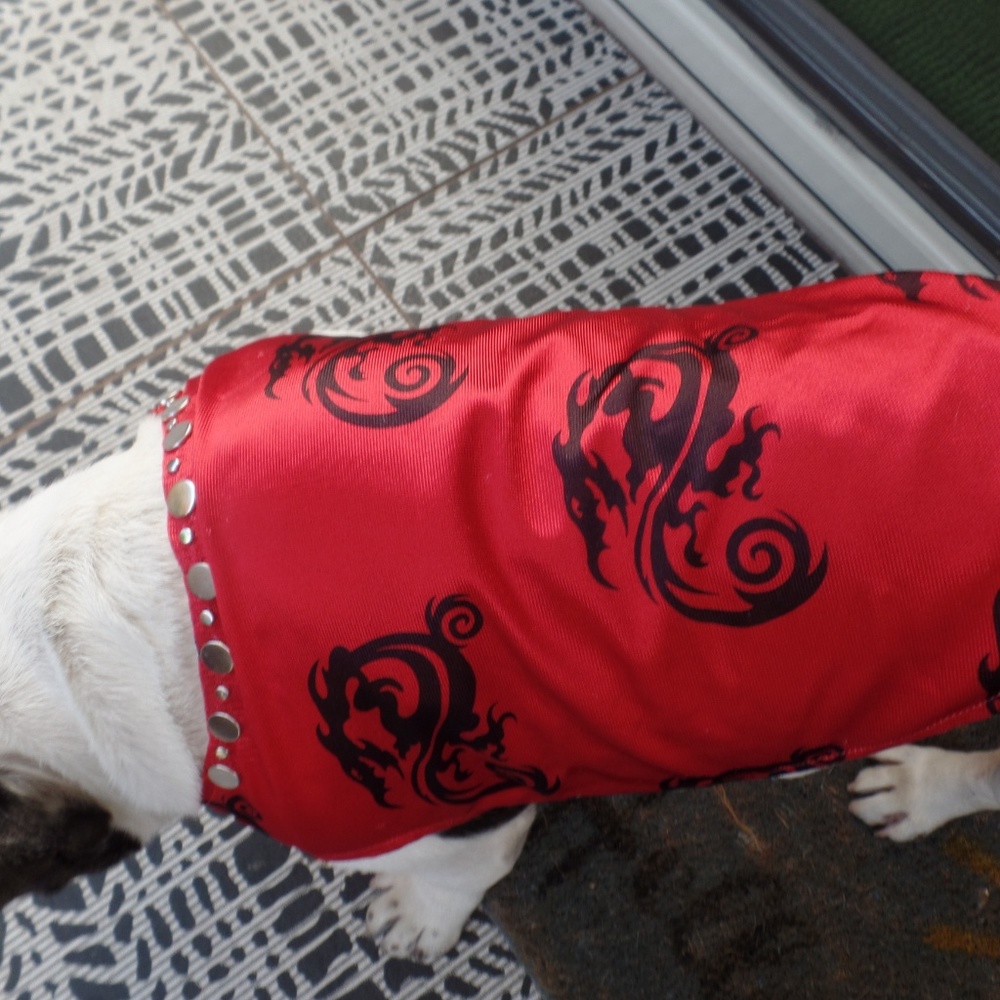 Dragon boy dog clothes nwot! - Picture 2 of 6